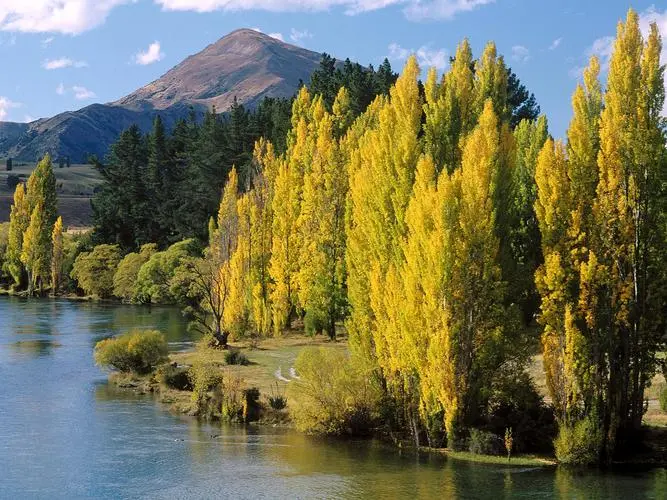 创意绿色
